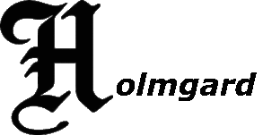 Holmgard – Системный интегратор для вашего бизнеса